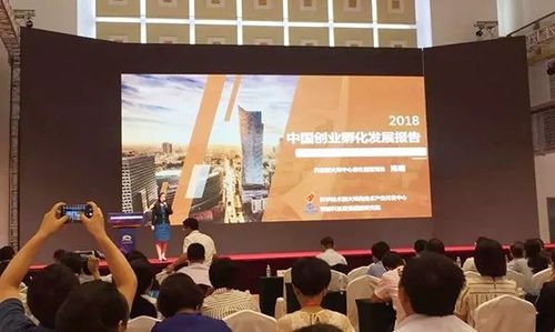 創業孵化 有“創”更得有“孵”，論孵化器管理服務的核心價值