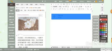135微信編輯器官方版下載 | v2.0免費電腦版安裝與體驗指南